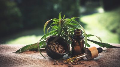 大乐透前区区间分布规律统计图表，小区中区大区三色柱状图对比近100期出号比例与历史均值